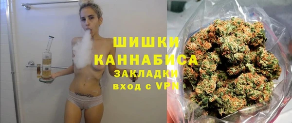 дживик Майский