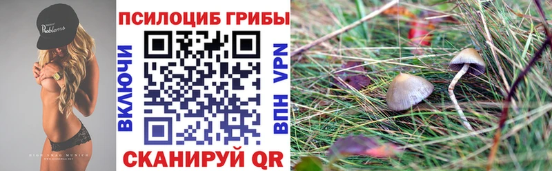 МЕГА   Буинск  Галлюциногенные грибы мухоморы  где можно купить  